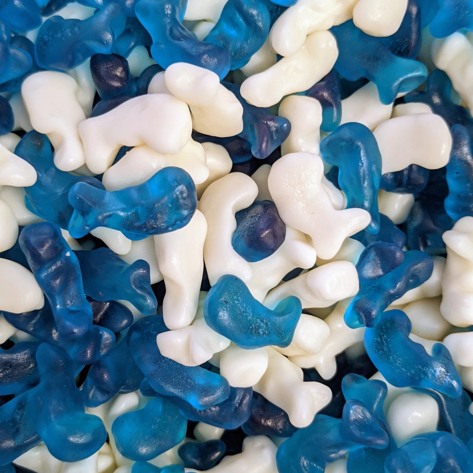 Baby Dolphins 200g