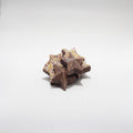 Chocolate Stars 200g